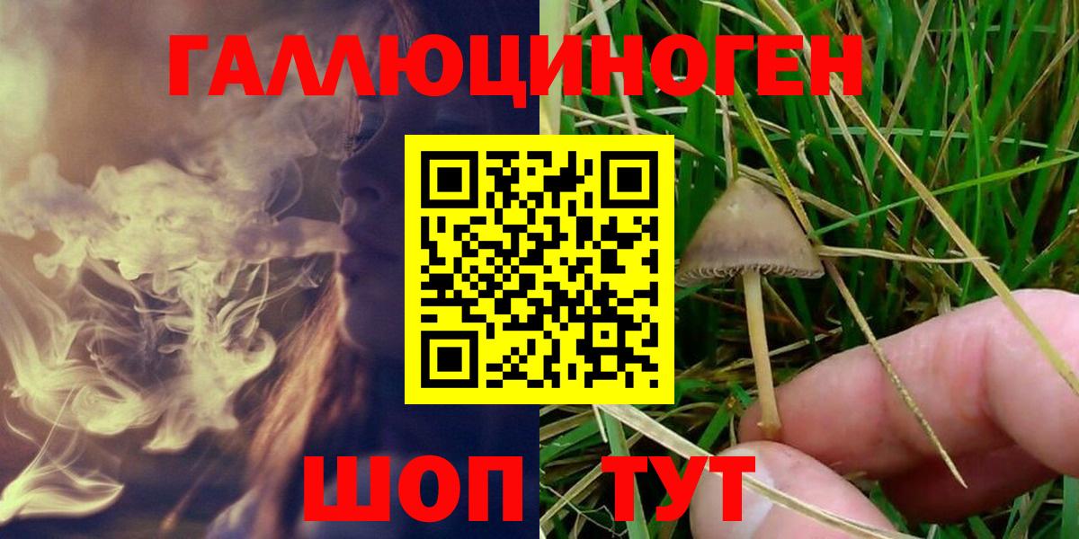 Псилоцибиновые грибы MAGIC MUSHROOMS  Псилоцибиновые грибы MAGIC MUSHROOMS  Десногорск  Вход с VPN 